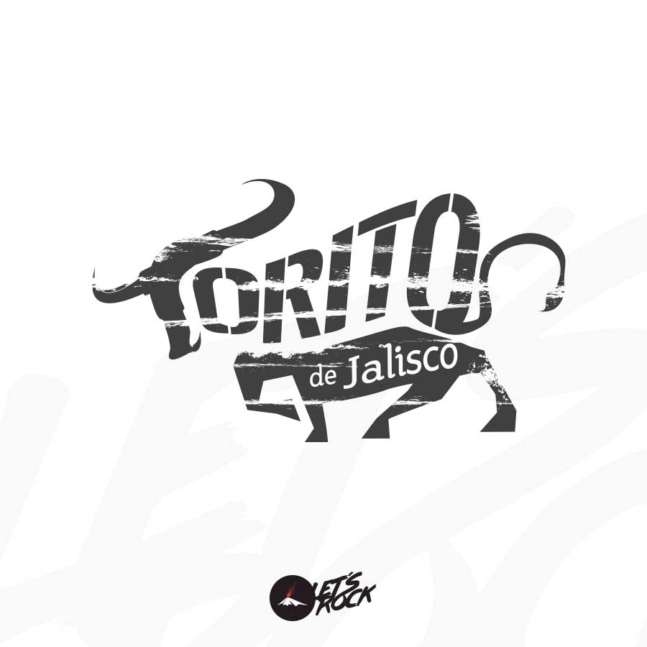 logos_volkano_2021_cover_900px_torito